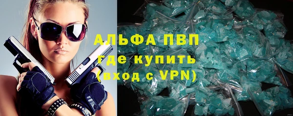 спиды Богородск