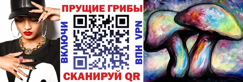 Галлюциногенные грибы Cubensis  наркошоп  Хасавюрт 